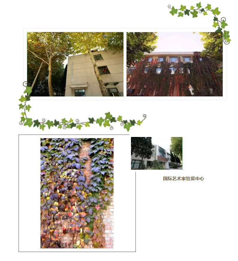 山影星工坊的秋色，与心中的美好不期而遇