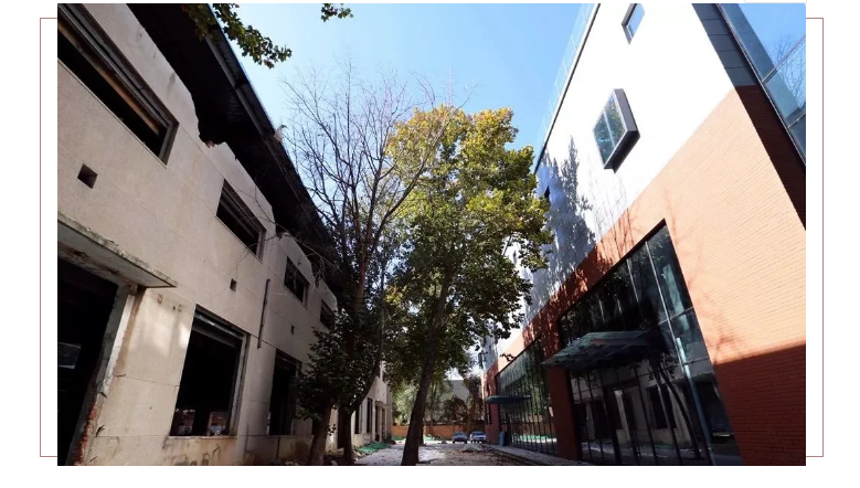 山影星工坊的秋色，与心中的美好不期而遇