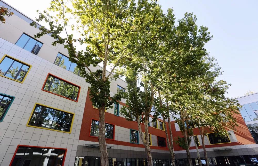 山影星工坊的秋色，与心中的美好不期而遇