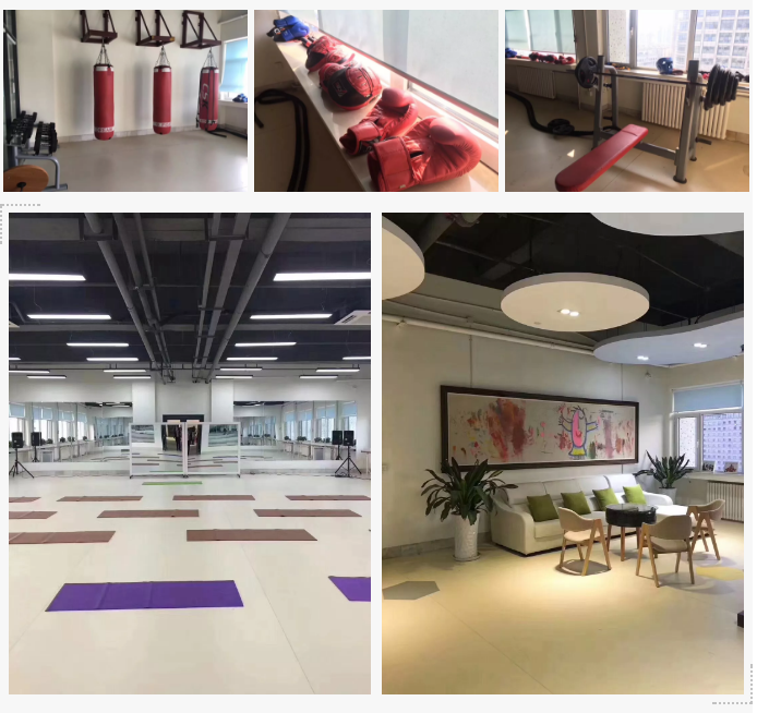 山影 • 星工坊之探密攻略一