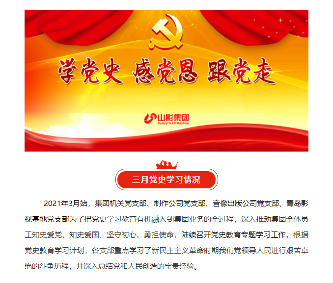 集团各党支部认真开展党史学习教育