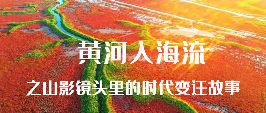 黄河入海流之山影镜头里的时代变迁故事