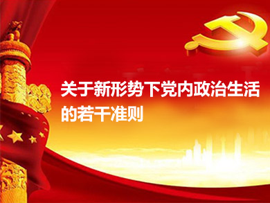 关于新形势下党内政治生活的若干准则