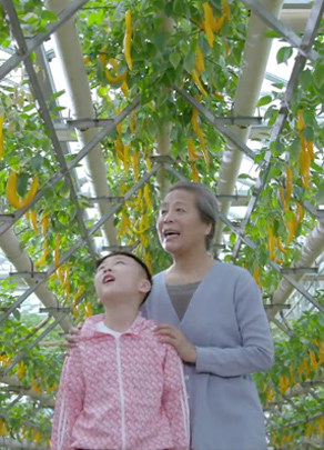 节水公益广告——农业篇